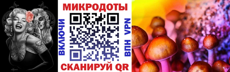 площадка Telegram купить наркотики сайты Заозёрный Галлюциногенные грибы Psilocybe