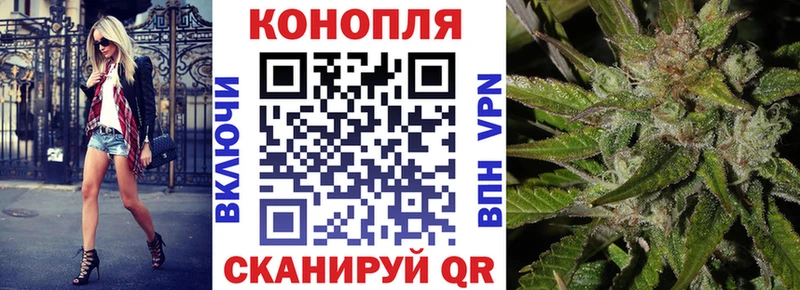Конопля индика  Заозёрный 